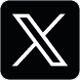 X Icon